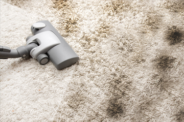 carpet-cleaning